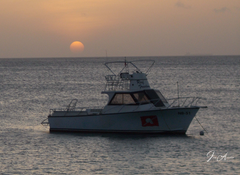 Capt Don's Reef Freedom at sunset